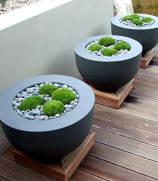 Green Moss Contemporary Planters