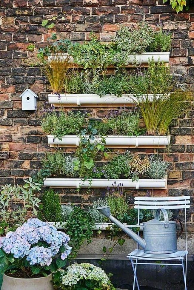 Colorful Flowers Pop Against Brick