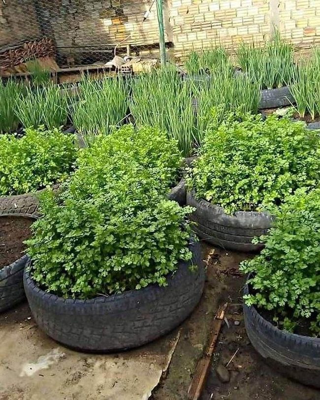 Black Rubber Herb Planters