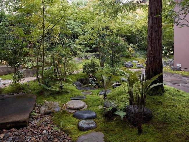 Green Moss Garden Floor