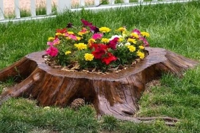 Weathered Wood Stump Planters