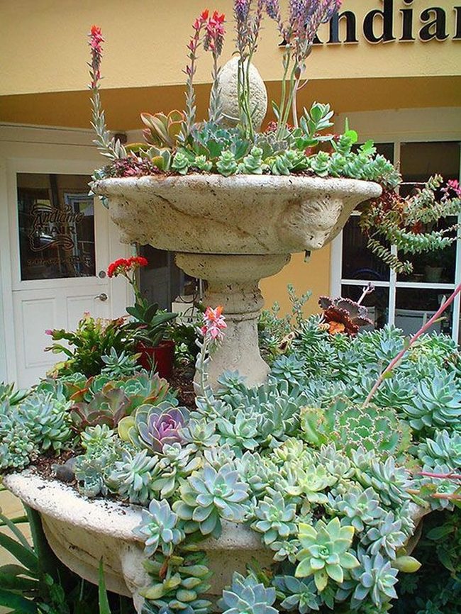 Purple Succulents Spilling Stone Basin