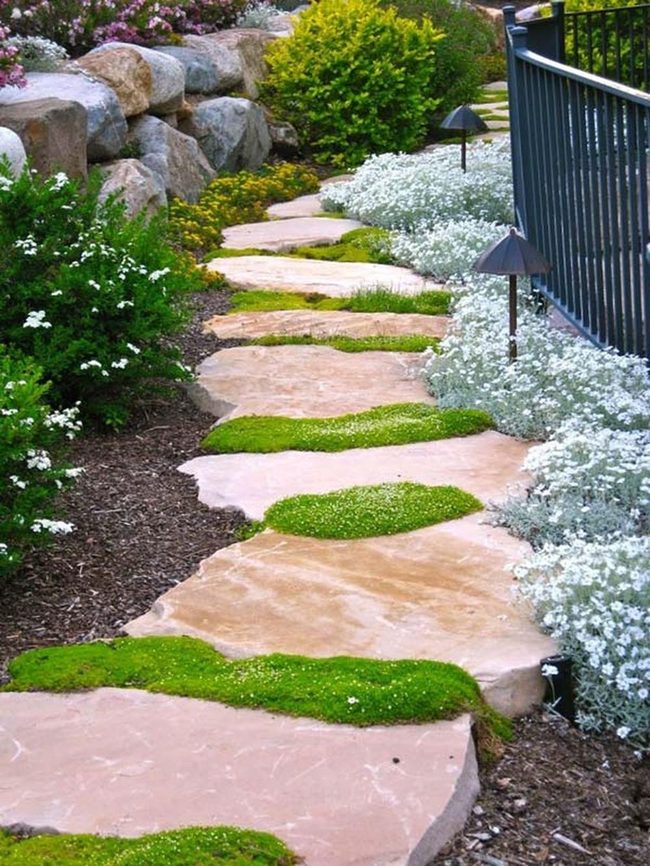 Low-Water Garden Textures Thrive