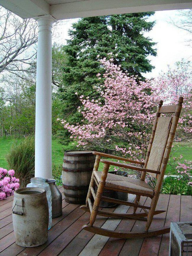 Weathered Wood Among Pink Blossoms