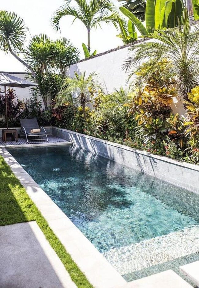 Tropical Pool Oasis With Layered Greenery
