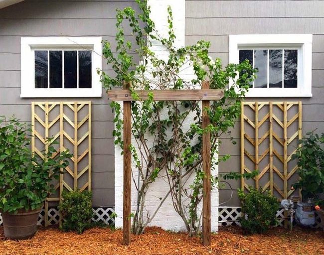 Geometric Chevron Trellis Garden