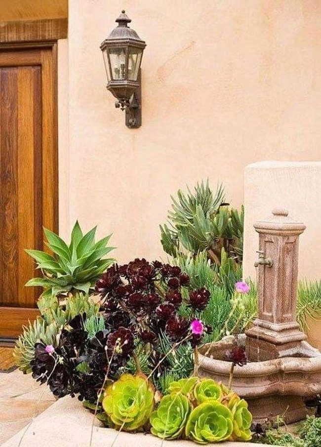 Burgundy Leaves And Fountain Water