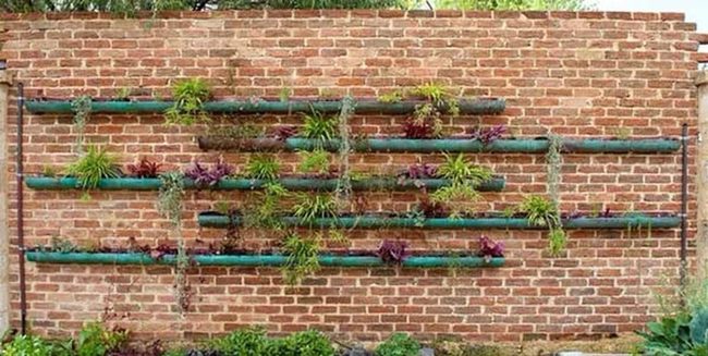 Cascading Flowers Along Fence Line
