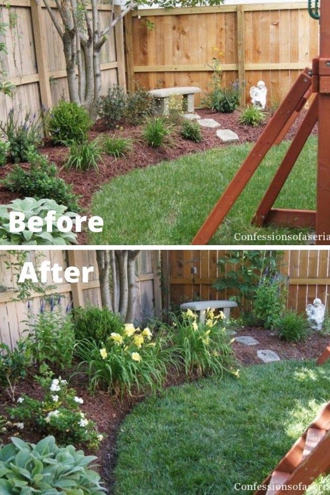 Lush Green Yard Transformation
