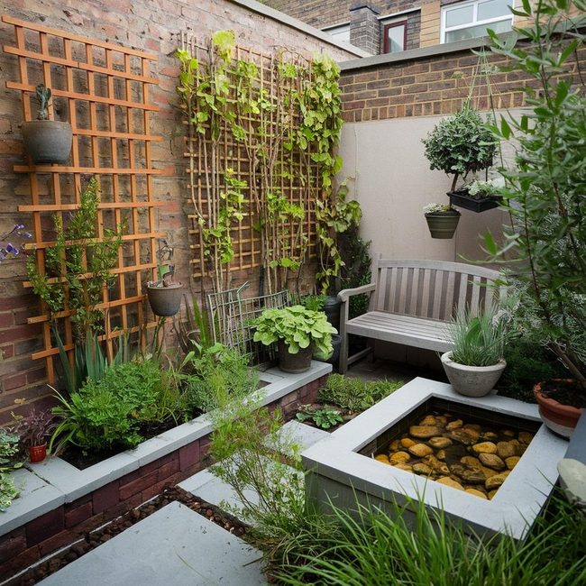 Paved Courtyard With Container Plants