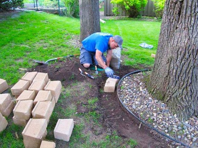 Stone Pathways Meet Living Gardens