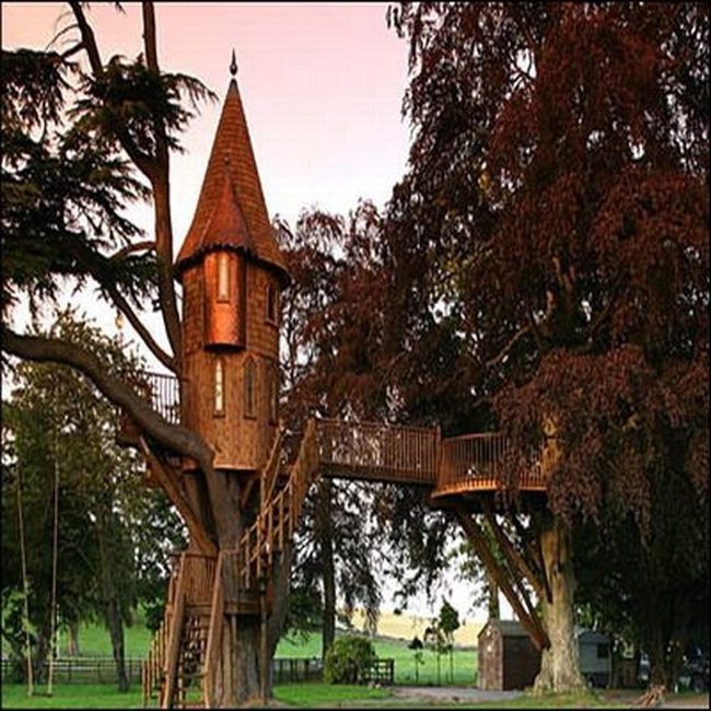 Elevated Treehouse Glowing Among Dense Foliage
