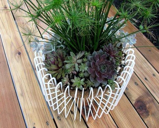 Striped Green Plant Bowls