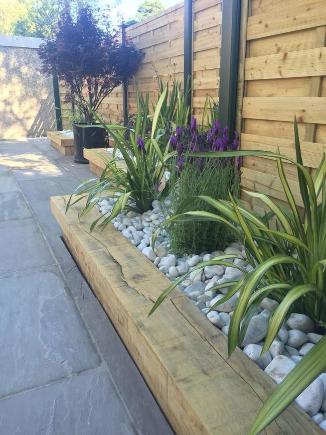 Wooden Frame Desert Garden