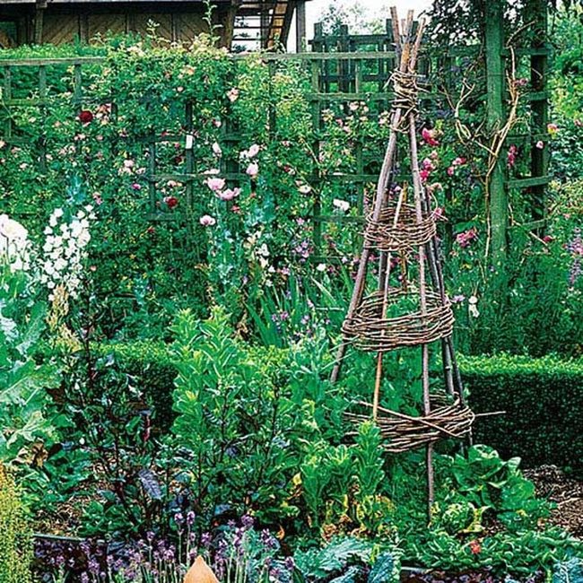 Wooden Teepee Trellis Garden