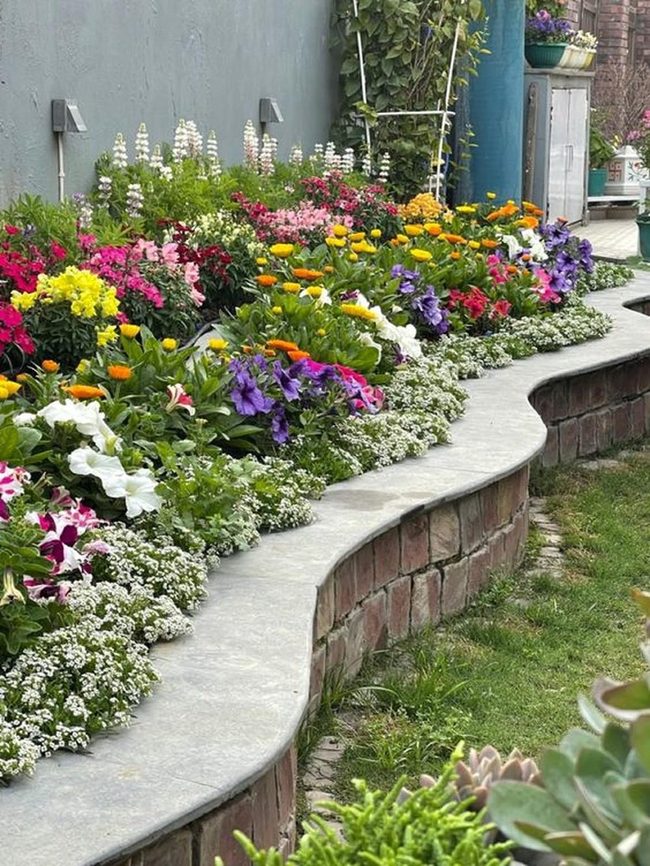 Curved Stone Edges Frame Blooming Garden
