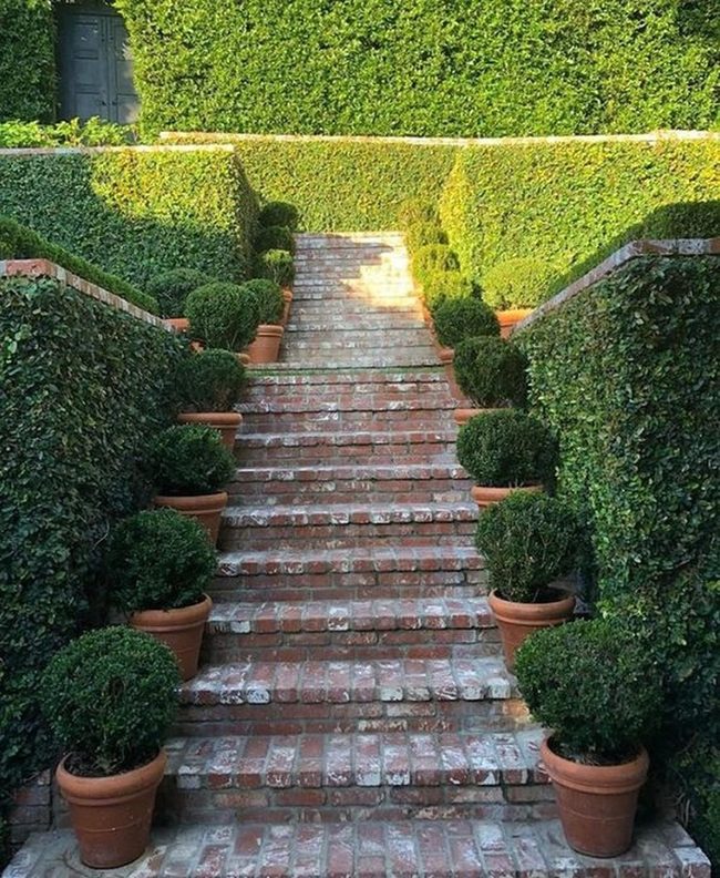 Brick Steps Through Green Walls