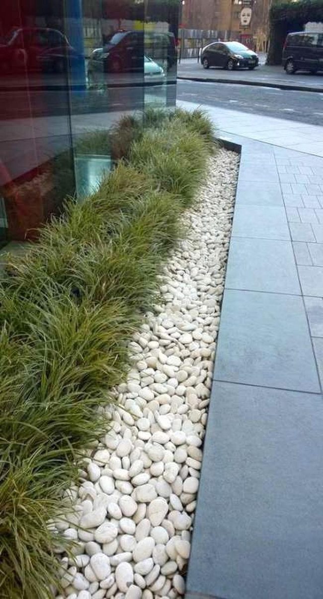 Green Plants Against Glass Architecture