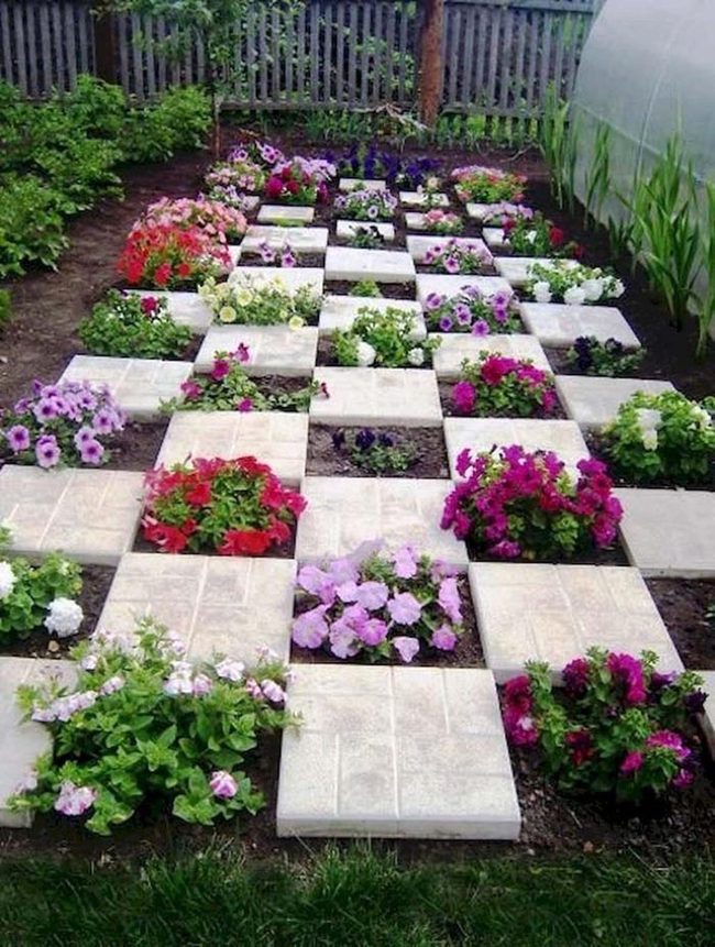 Colorful Checkered Flower Garden