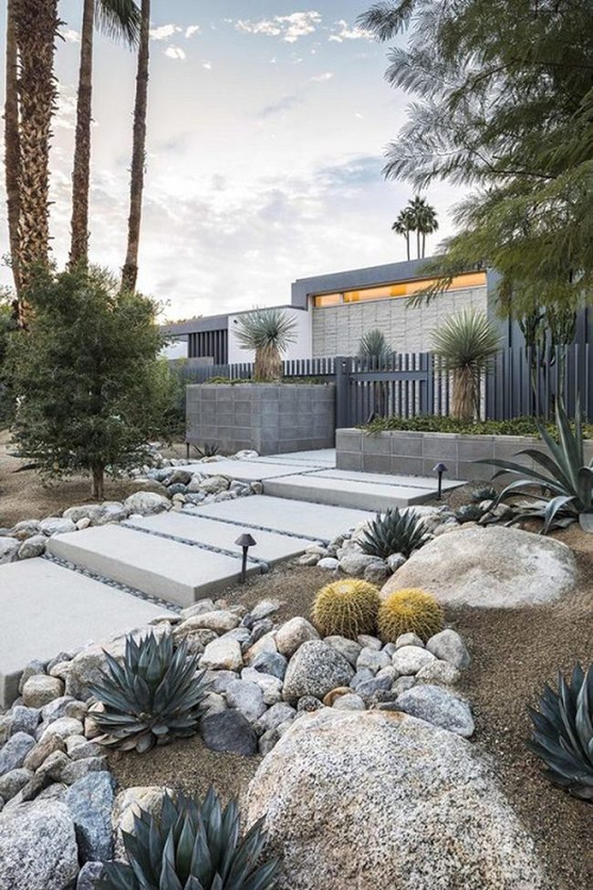 Desert Stone And Spiky Green Symphony