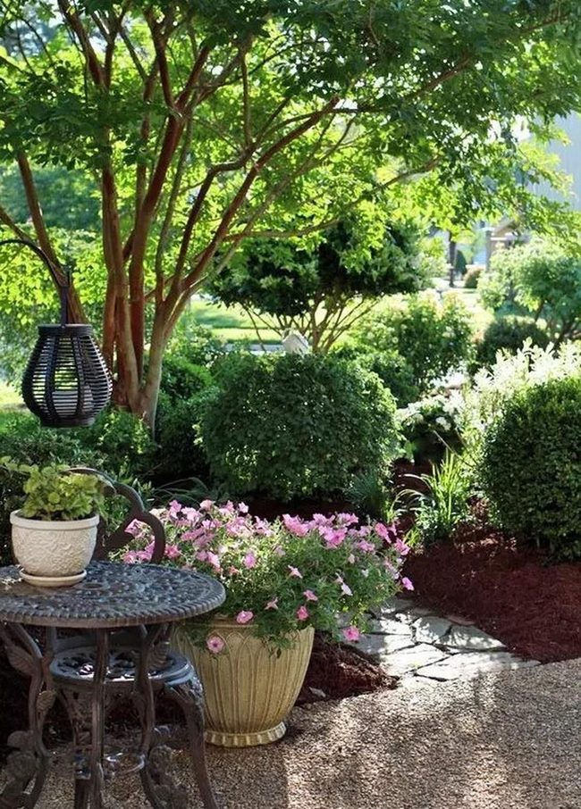 Pink Blooms Among Emerald Greenery