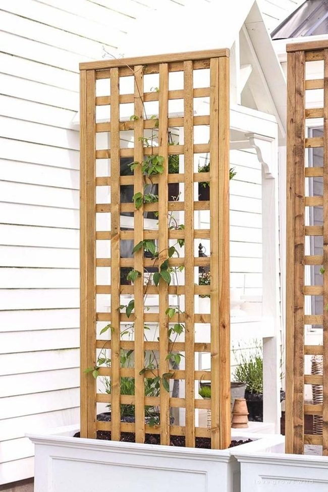 Tall Box Trellises For Vertical Gardens
