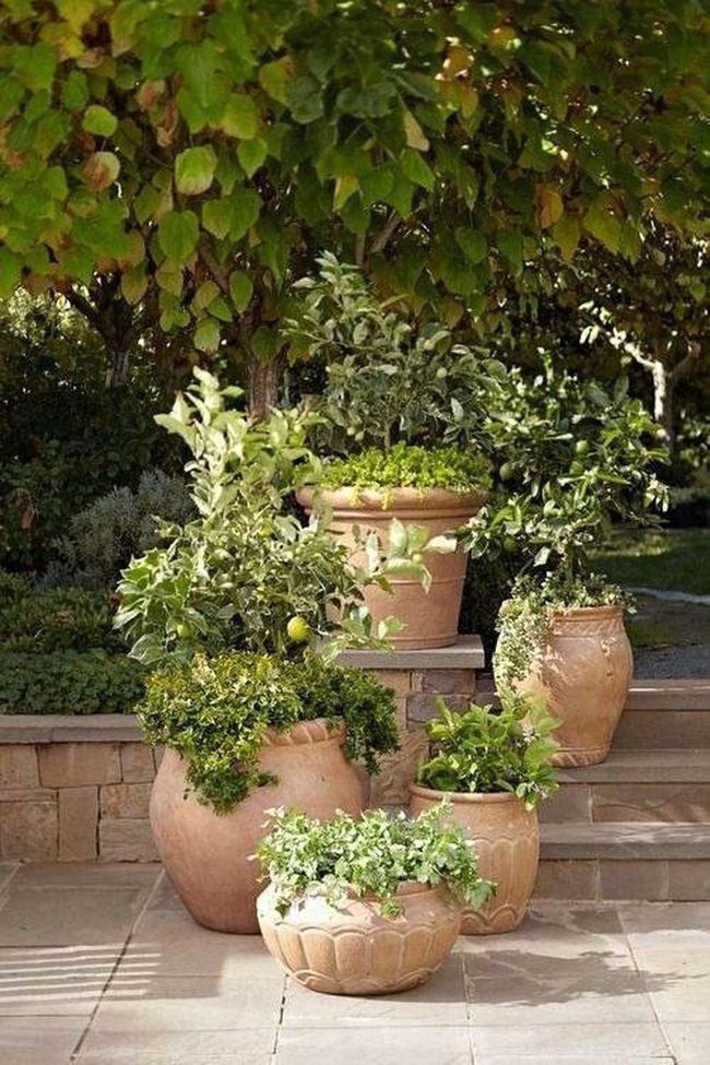 Terracotta Pots Garden Layering