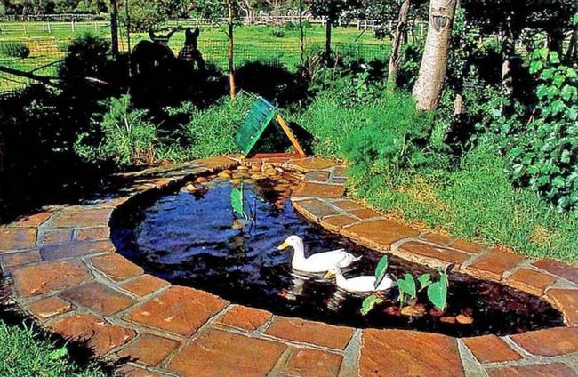 Stamped Concrete Duck Ramp