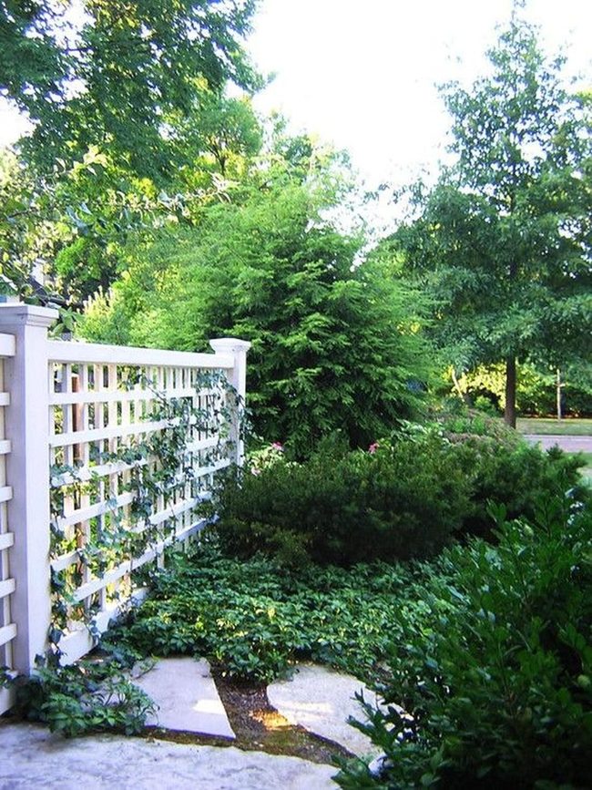Dappled Shade Garden With Stone Paths