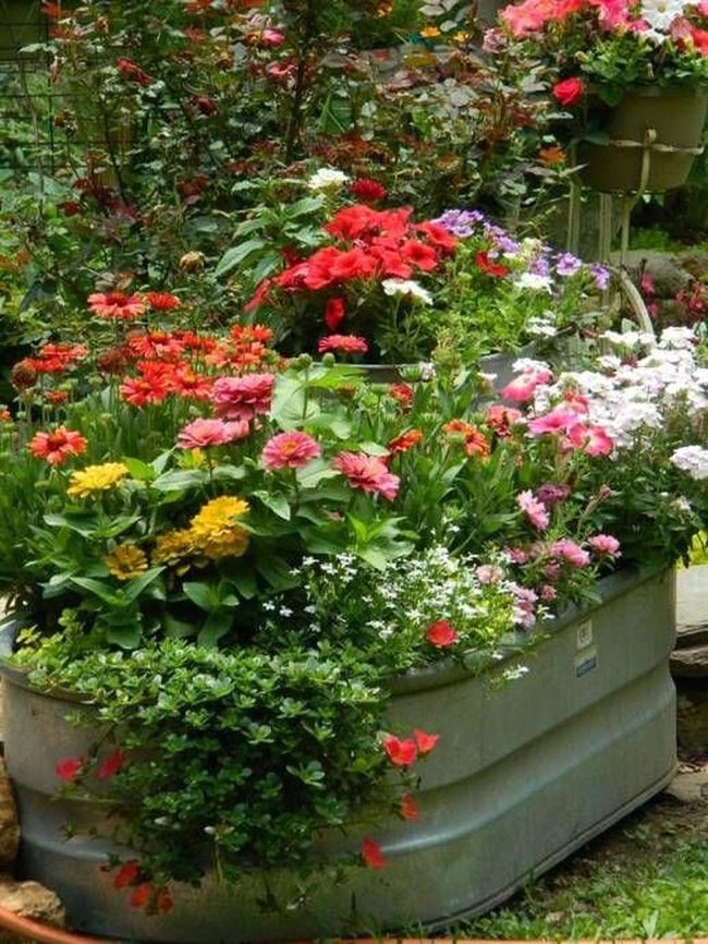 Lantern-Lit Garden With Blooming Flowers