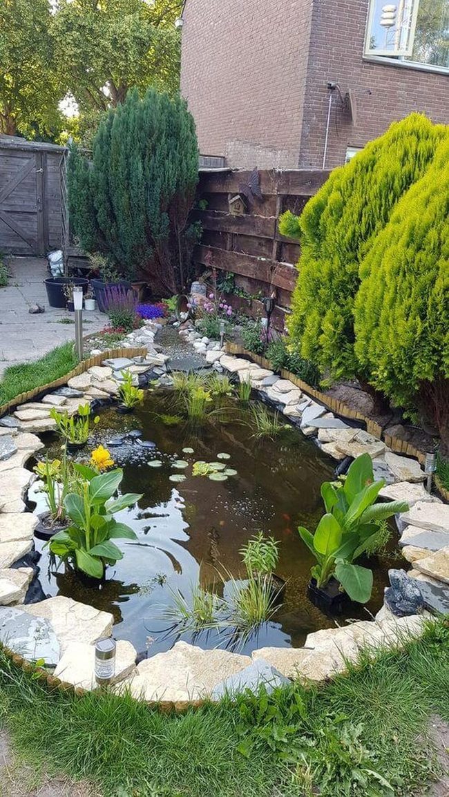 Backyard Pond With Stone Edges