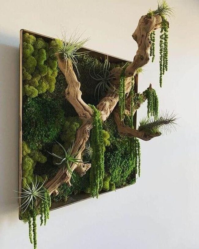 Cascading Moss And Driftwood Wall