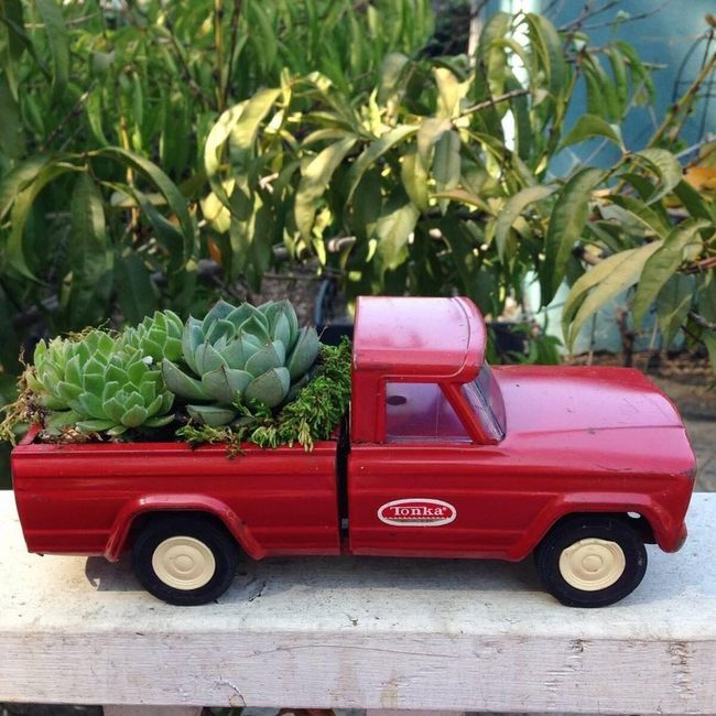 Vintage Trucks With Living Succulents