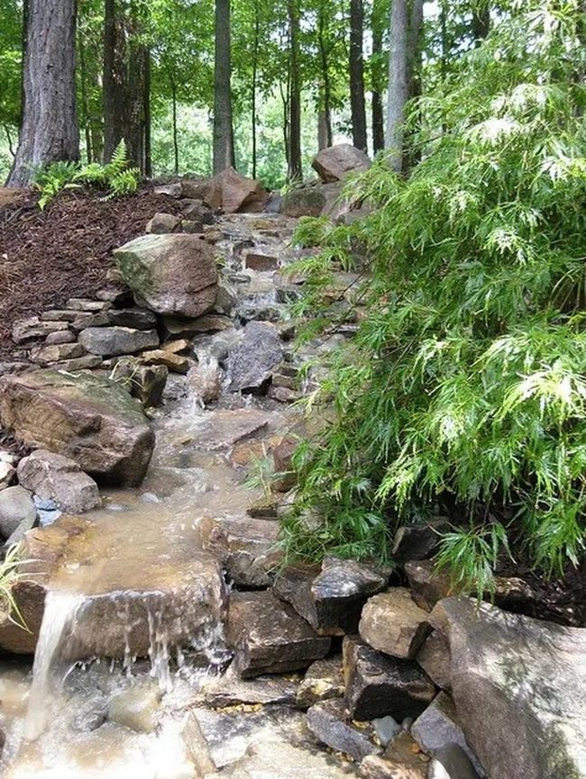Flowing Water Over Moss-Covered Stones