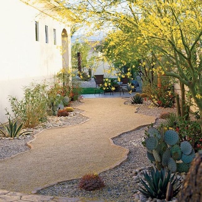 Gravel Beds With Hardy Succulents And Stone