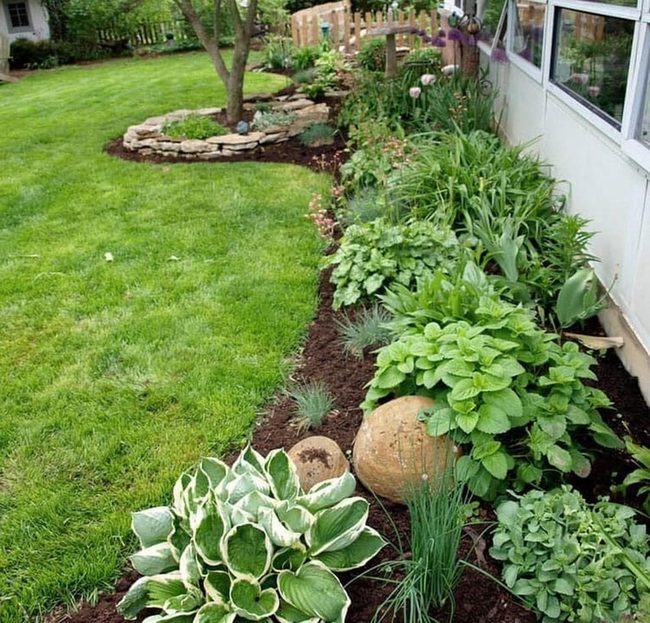 Evergreen Foliage With Contrasting Stone