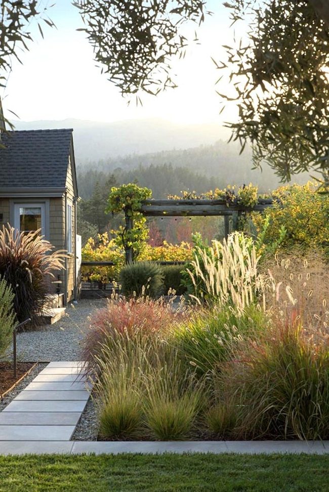 Ornamental Grasses Meet Smart Drainage
