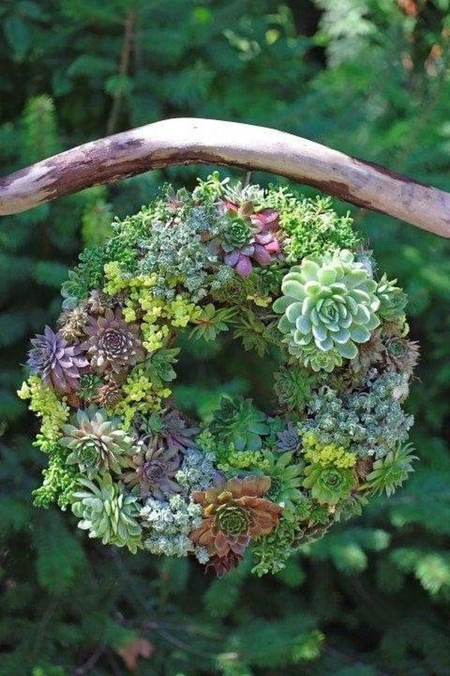 Living Greens Circle Year-Round