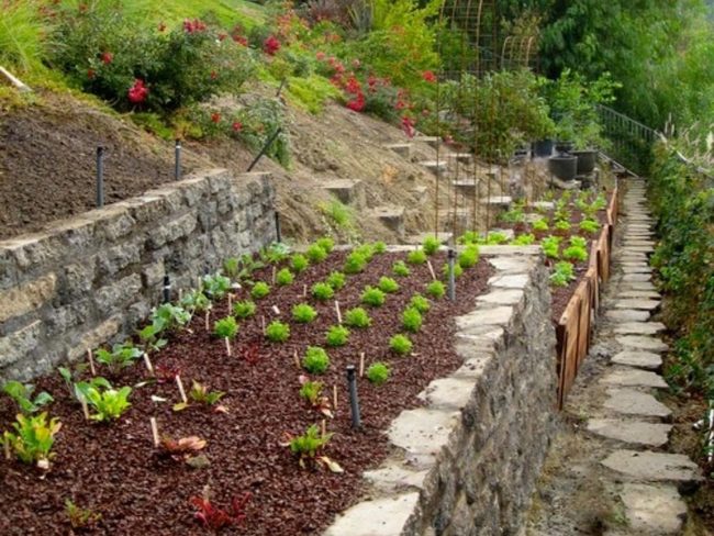 Stacked Beds On Sloping Terrain
