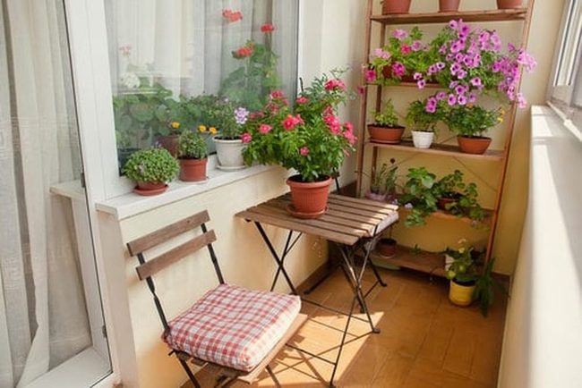 Instant Blooms Transform Tiny Balconies