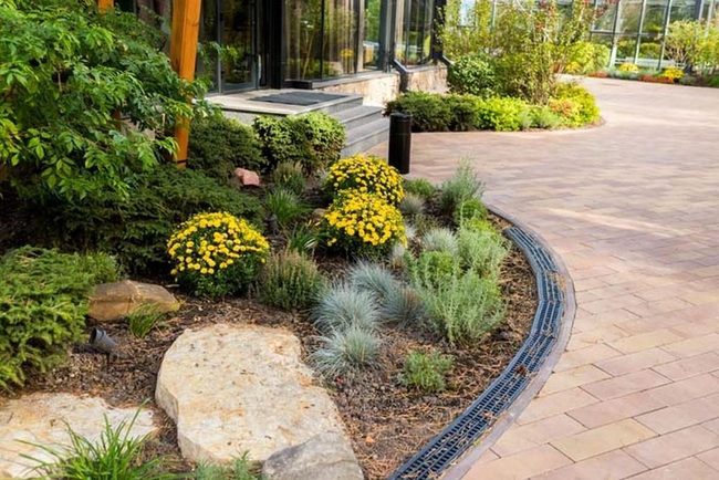 Stone And Alpine Plants Paradise
