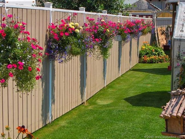 Vertical Garden Blooms On Fences