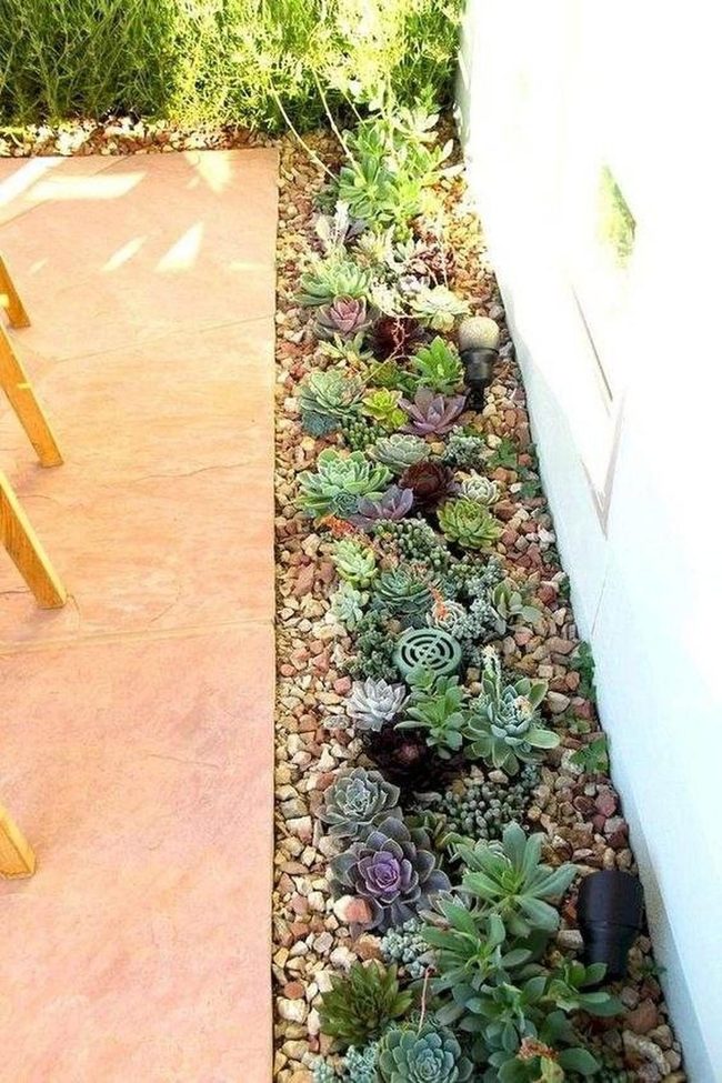 Purple-Green Succulent Stone Garden
