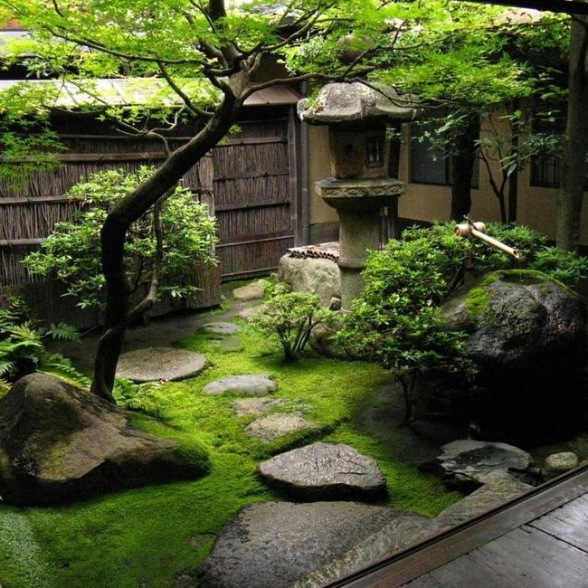 Green Moss Garden With Bamboo Walls