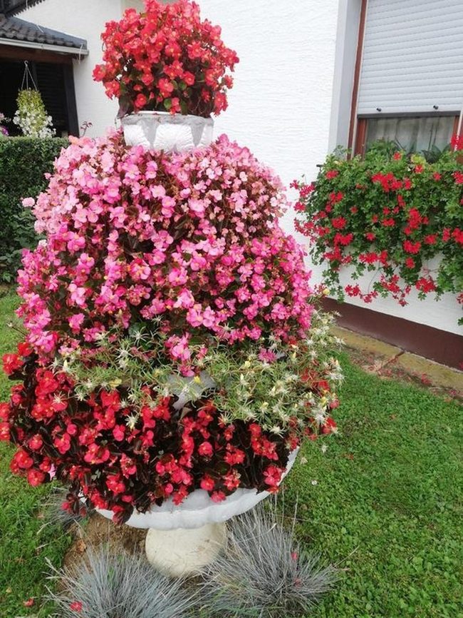 Pink And Red Flower Tower