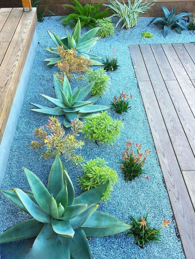 Blue Gravel Desert With Curved Wood