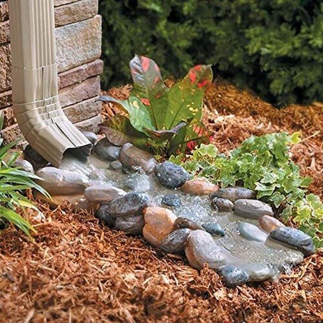 Colorful Stone Pathways With Native Plants