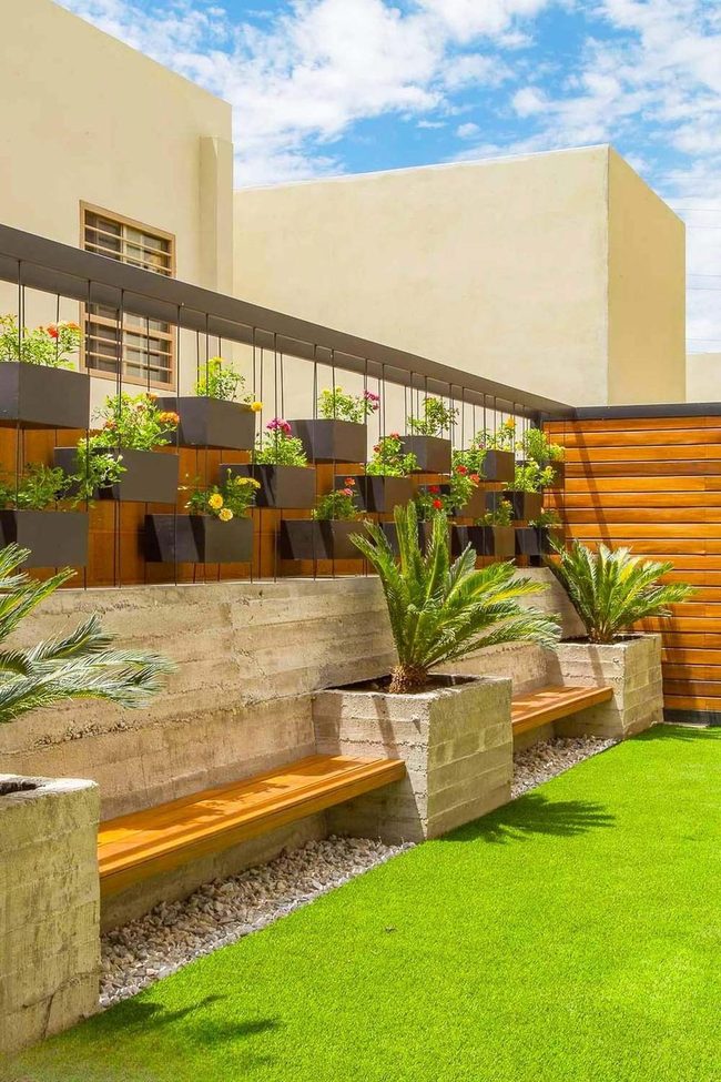 Blooming Walls Meet Concrete Zen