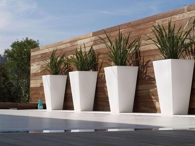White Planters, Spiky Green Energy