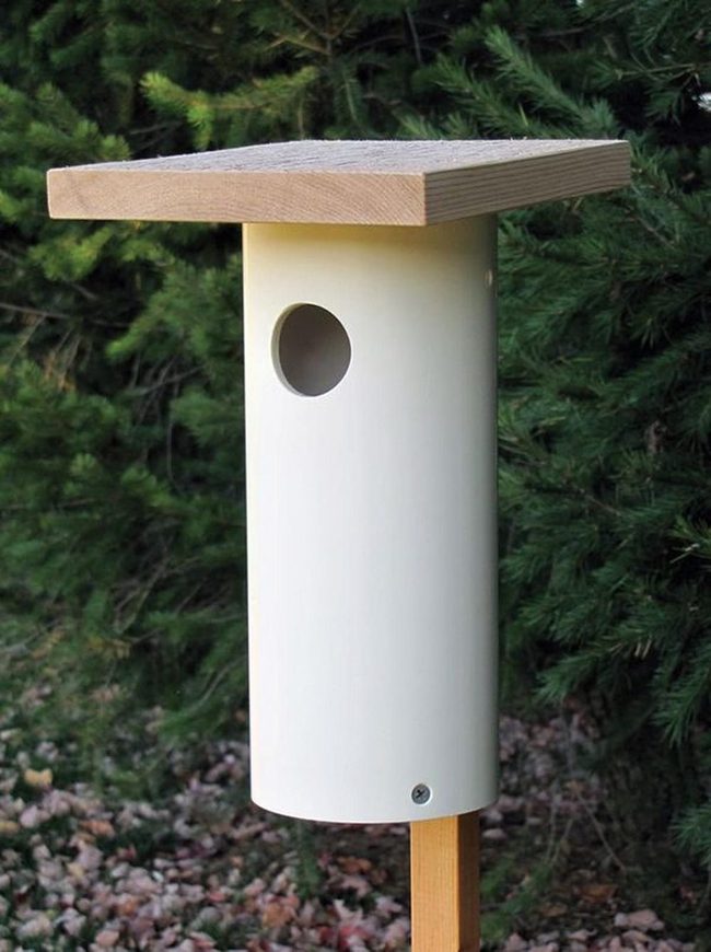 White Birdhouses Among Green Pines